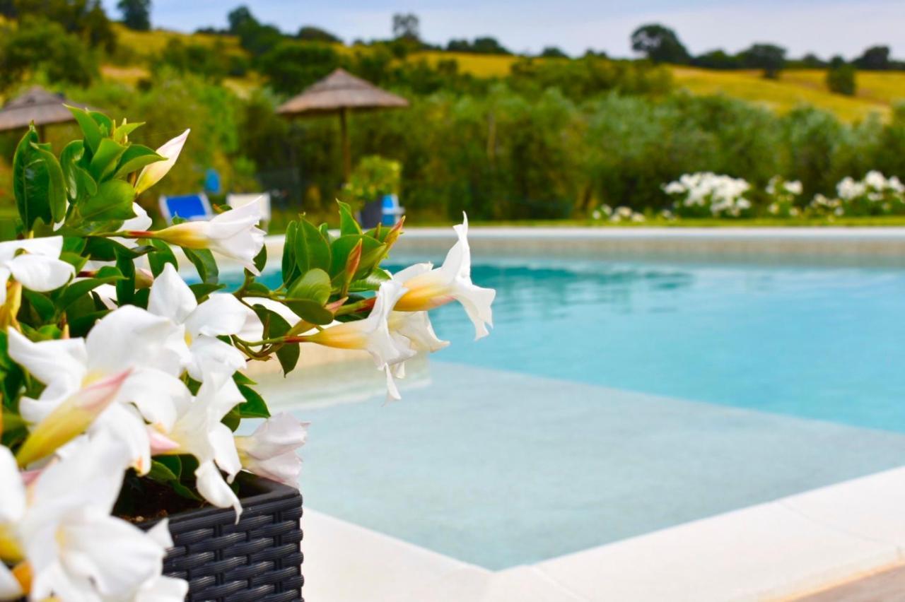 Podere N°8 In Maremma Vakantieboerderij Alberese