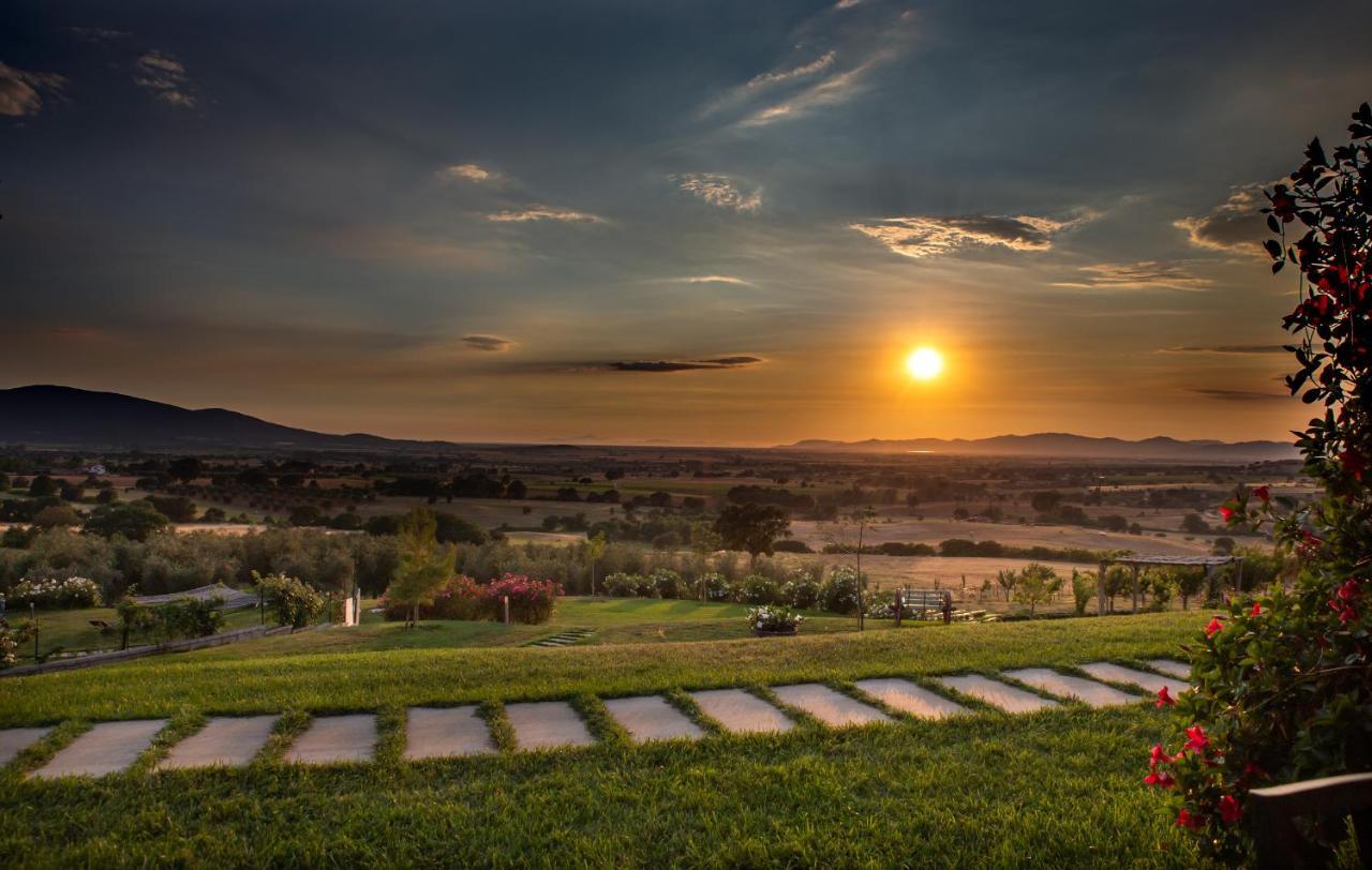Podere N°8 In Maremma * Alberese