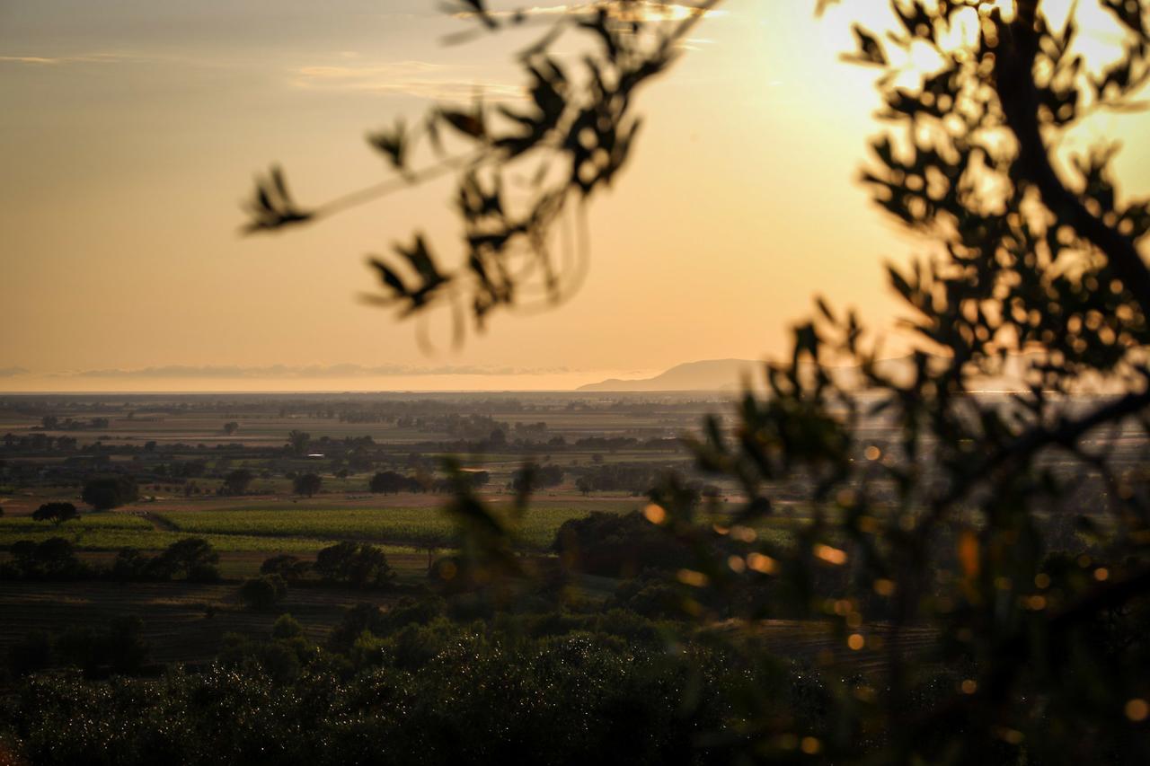 Podere N°8 In Maremma *